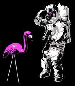 Розовый фламинго-космонавт