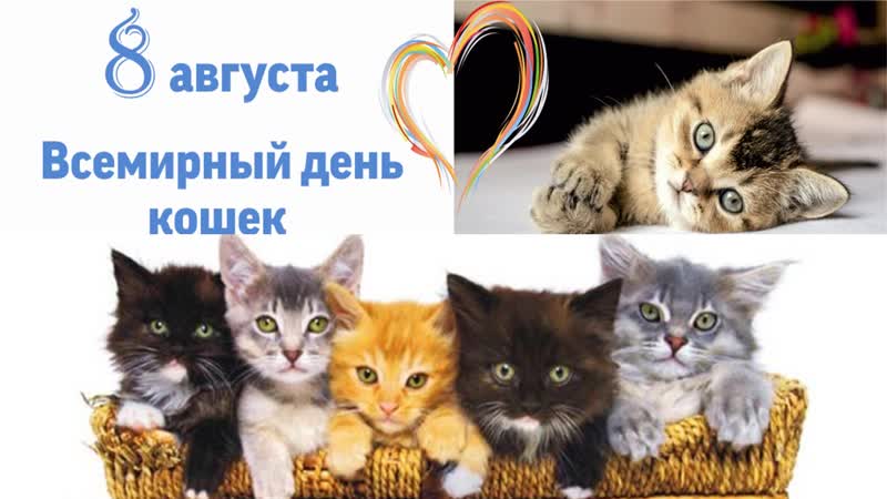 8 августа - Всемирный день Кошек!
