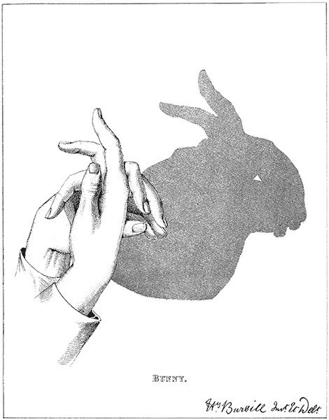 Обложка произведения 'Черный заяц'