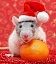 Участнику флэшмоба: «Новый год, Рождество и мышки»