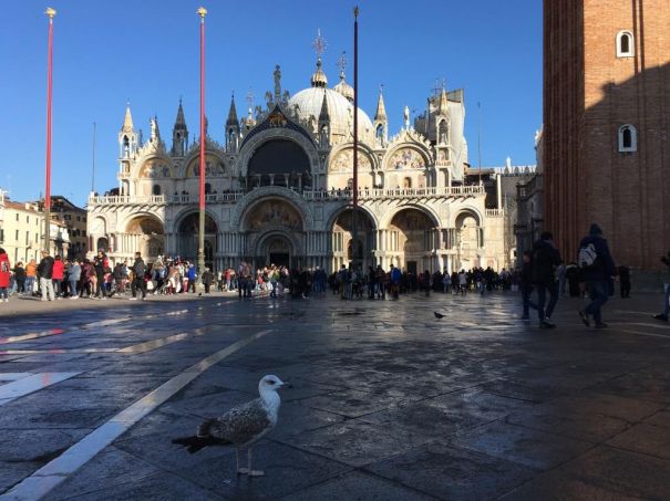 Гхм... Привет, чайка. Их тут куча. Так, что-то отвлеклись. Прямо по курсу собор св.Марка. Гхм... Привет, чайка. Их тут куча. Так, что-то отвлеклись. Прямо по курсу собор св.Марка.