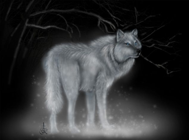 Обложка произведения 'Зачарованный волк'