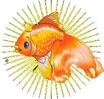 Обложка произведения 'Сказ о том, как не стоит общаться с Золотой Рыбкой'