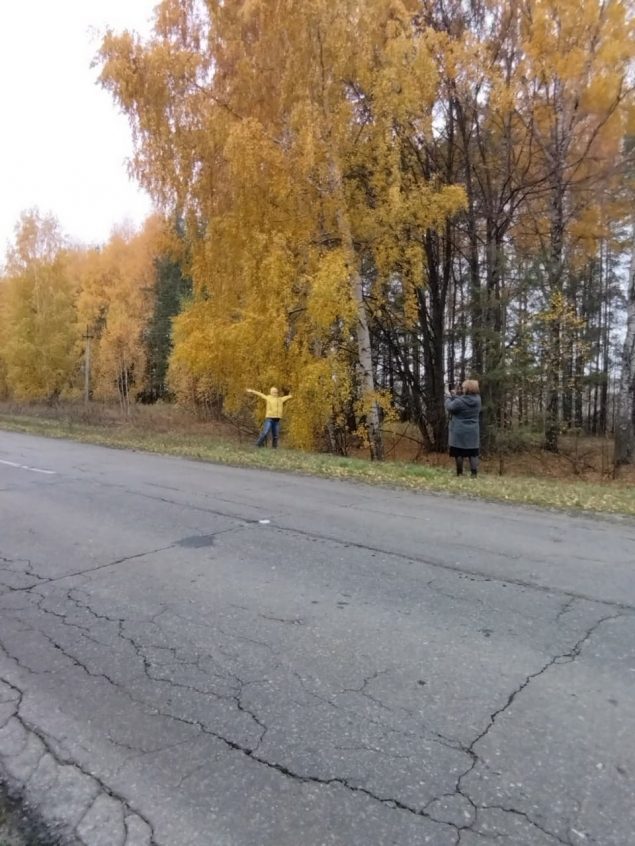 Обложка произведения 'Осенний дождь'
