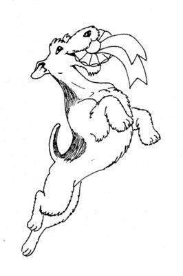 Обложка произведения 'Зачем стремимся к популярности?'