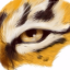 глаз тигра