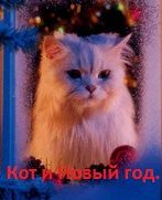 Обложка произведения 'Кот и Новый год.'