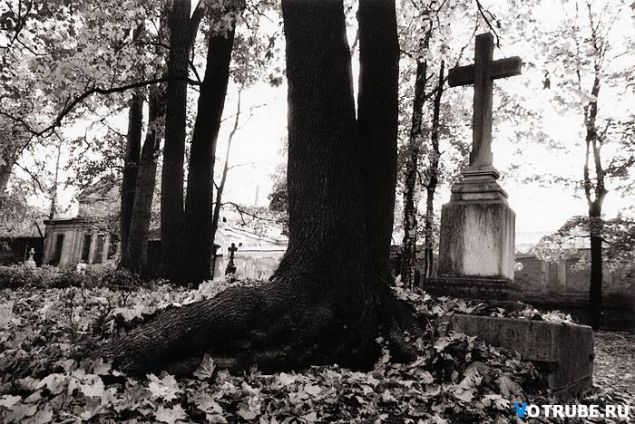 Обложка произведения '" Кладбище", часть романа.'