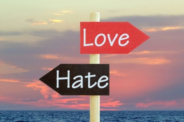 Обложка произведения 'Любовь толи ненависть...'