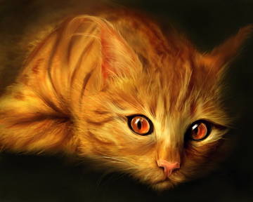Обложка произведения 'Рыжий кот'