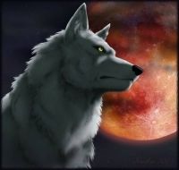 Обложка произведения 'Волк'