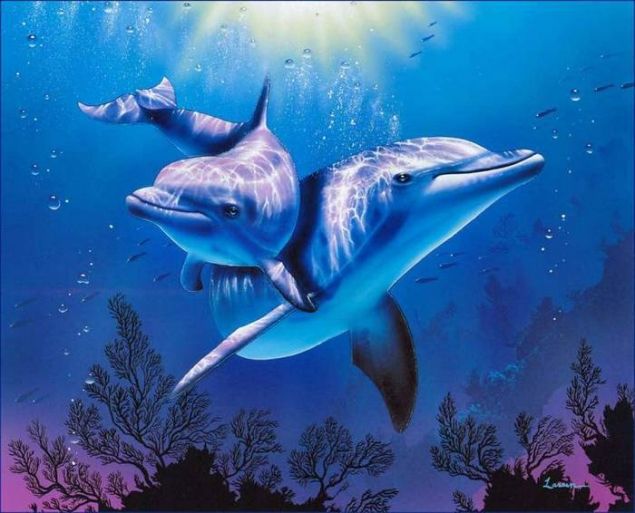 Обложка произведения 'Дельфины'