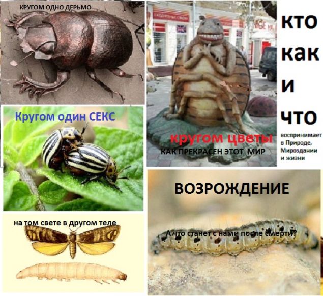 Обложка произведения 'Книги мёртвых'