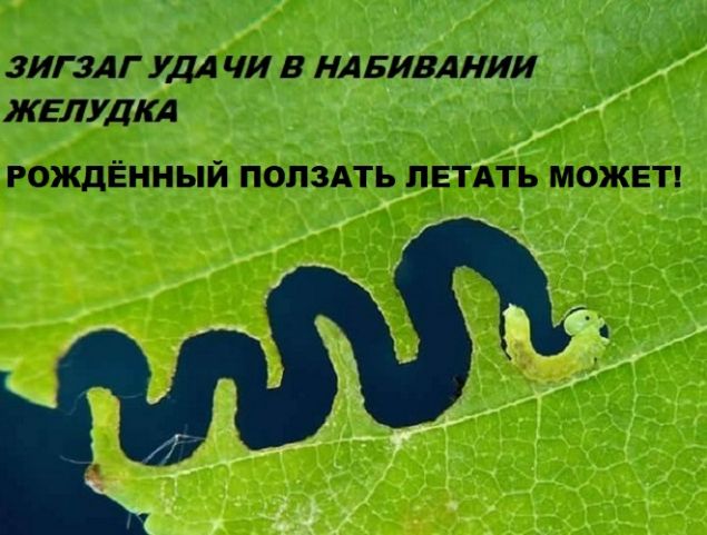 Обложка произведения 'Обустроиться и жить'
