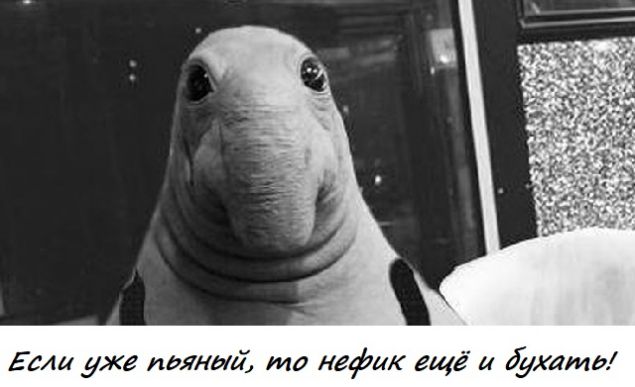 Обложка произведения 'Толкование снов'