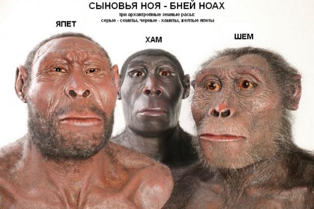Обложка произведения 'Чудеса антропологии'