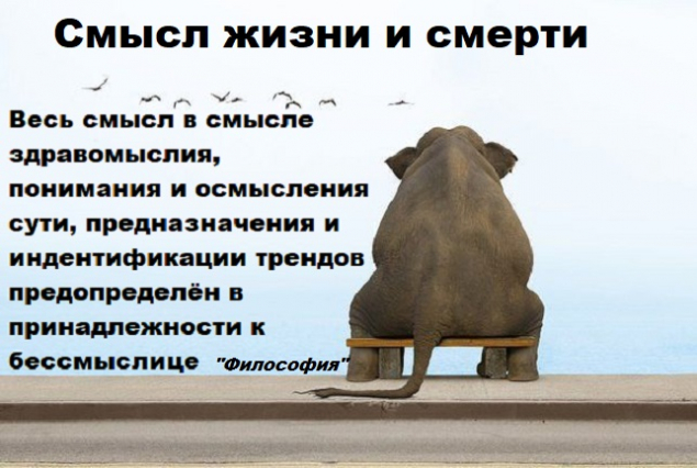 Обложка произведения 'Смысл по сути'