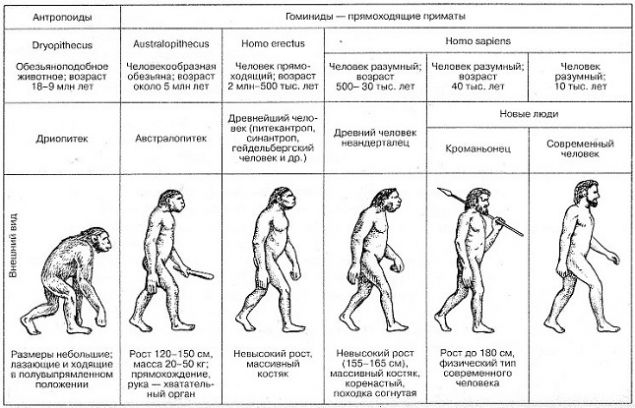 Обложка произведения 'Значимость предназначения и миссионерства'