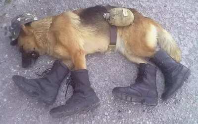 солдат спит, служба идет