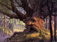 Обложка произведения '"Мой друг-дерево" или "OLD WISE TREE"'