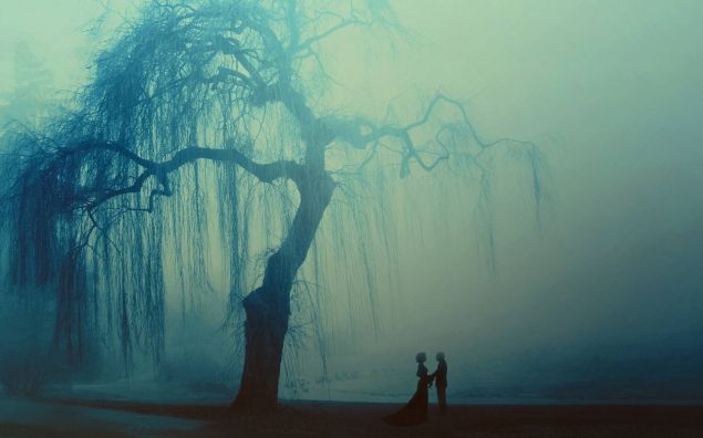 Обложка произведения 'Встречи в тумане'