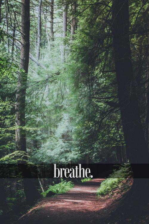 Обложка произведения 'Дыши'