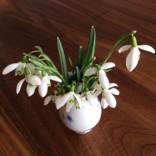 Обложка произведения 'переводные картинки'