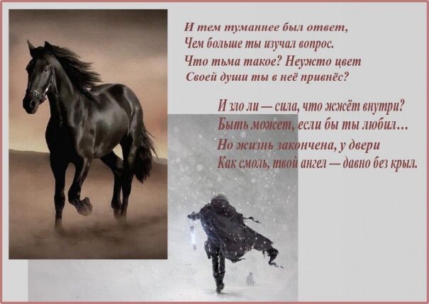 Обложка произведения 'Твой плащ был чёрен и ворон конь'