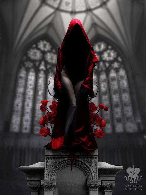 Обложка произведения 'кровавая вдова.'
