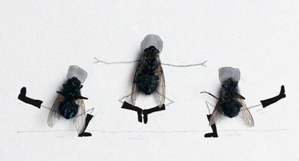 Обложка произведения 'Из жизни мух'