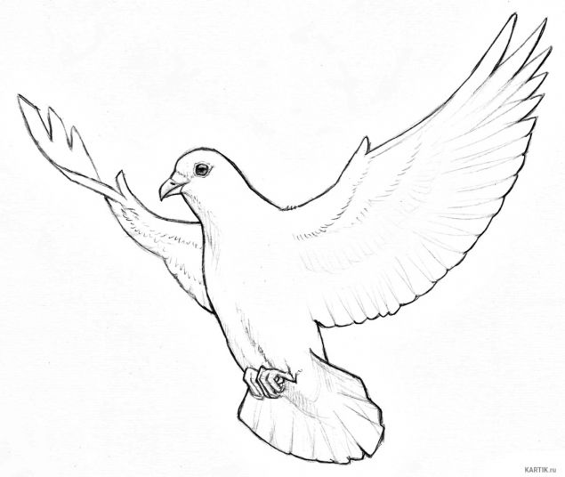 Обложка произведения 'Размороженный голубь'