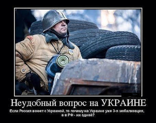 Обложка произведения 'Всемирная история Украины'