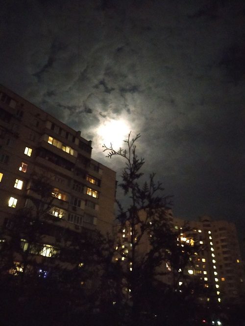 Обложка произведения 'Ужас, снящийся Богу'