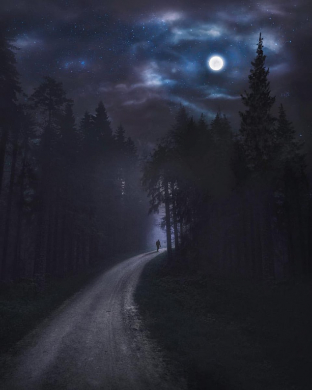 Обложка произведения 'Ночные прогулки'