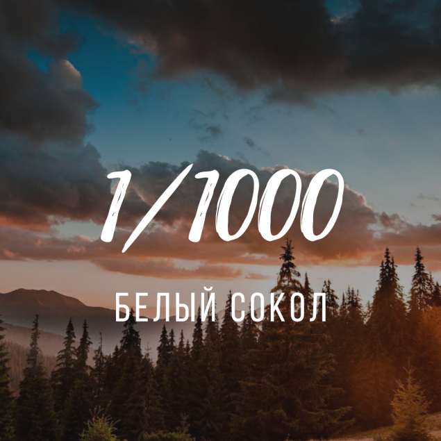 Обложка произведения 'ЛЕГЕНДА О СОКОЛЕ 1/1000'