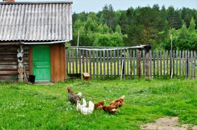 Обложка произведения 'Басни Посохова про Ивана'