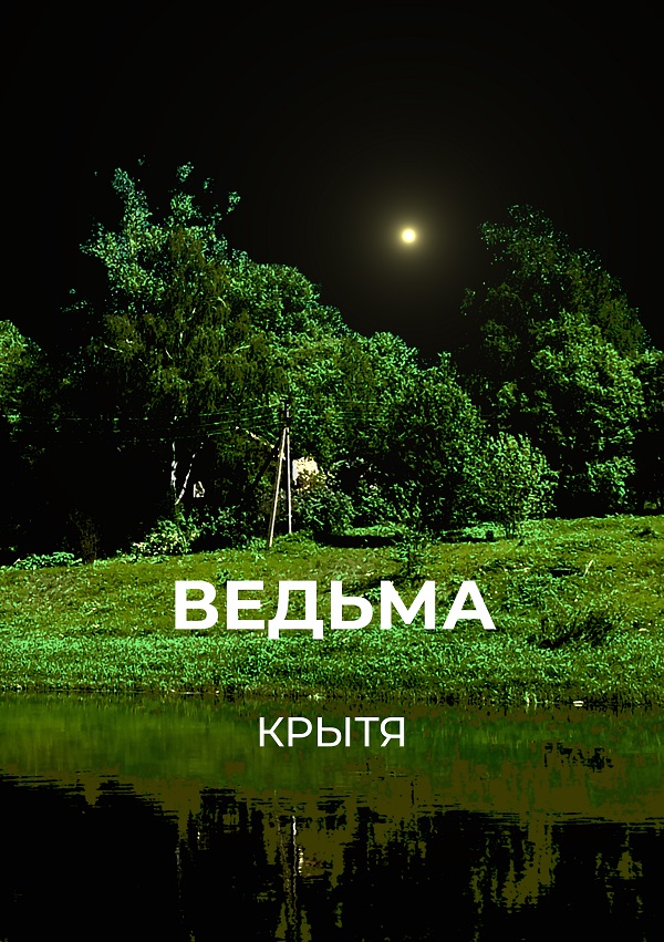 Обложка произведения 'Ведьма'