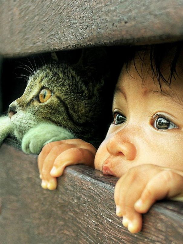 Обложка произведения 'К фотографии "Малыш и кот"'
