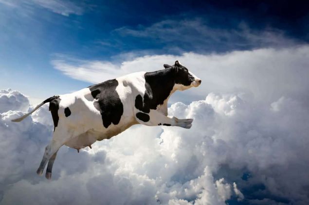 Обложка произведения 'Летающая корова'