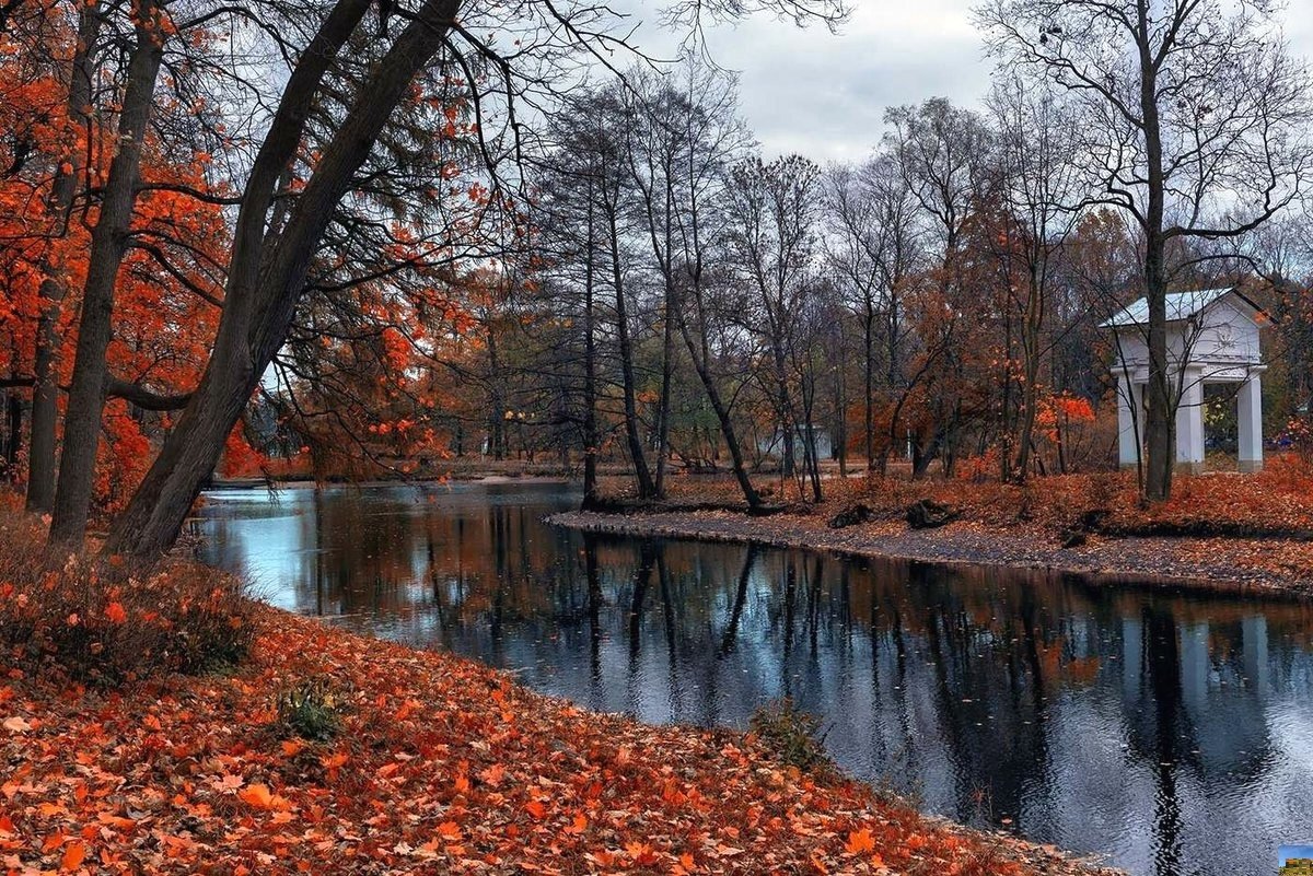 осень в парках