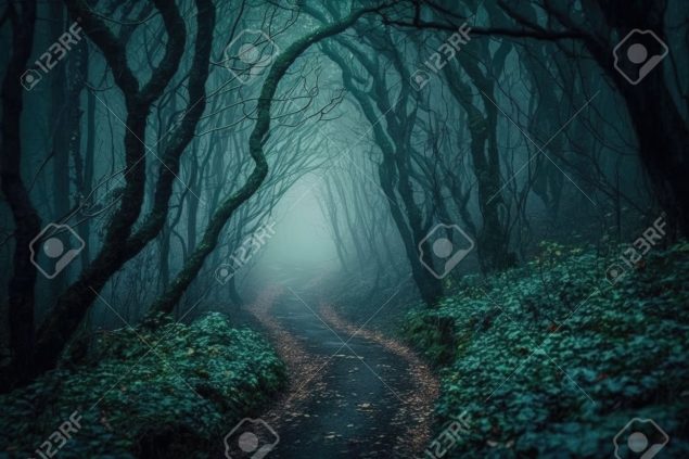 Обложка произведения 'По тёмной тропе'