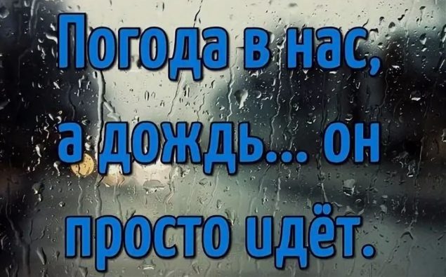 Обложка произведения 'Не бодрое'