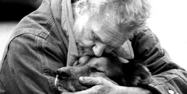 Обложка произведения 'Демьяныч'