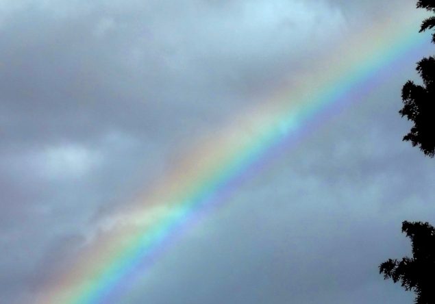 Обложка произведения 'О Предназначении'