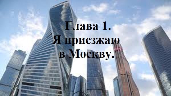 Обложка произведения 'ПРОВИНЦИАЛКА'