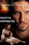 Обложка Требуется рабовладелец