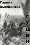 Обложка Гущин
