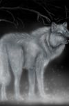 Обложка Зачарованный волк