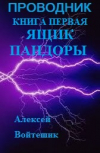 Обложка ПРОВОДНИК (книга первая Ящик Пандоры)