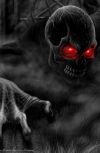 Обложка Сутки в объятиях Морфея